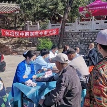医心向党 健康庙会