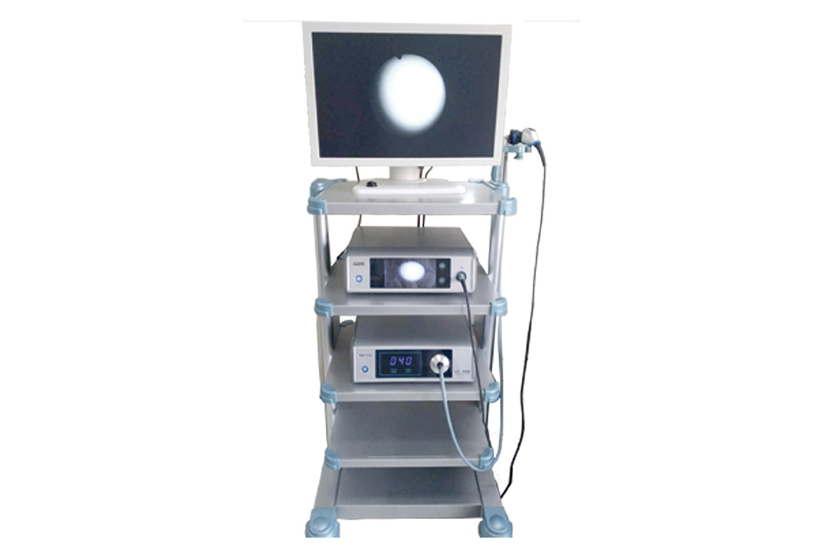 内腔镜显示系统